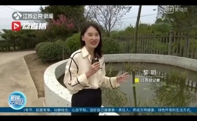 溧阳村民家池塘惊现“地球活化石”桃花水母 蓝光(1080P)