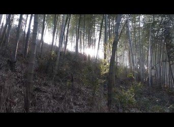 驴友福利！溧阳有个仙山头，冬天爬起更带劲！ 蓝光(1080P)