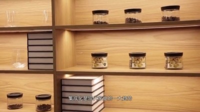 【产品评测】大师级蒸烤一体机，火星人E6C蒸烤一体集成灶